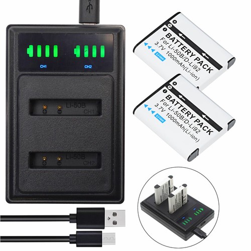 Batteria caricabatterie - 2x,